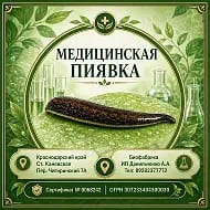 Медицинская пиявка Биофабрика