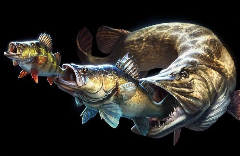 Рыбалка - "Fish fear me"